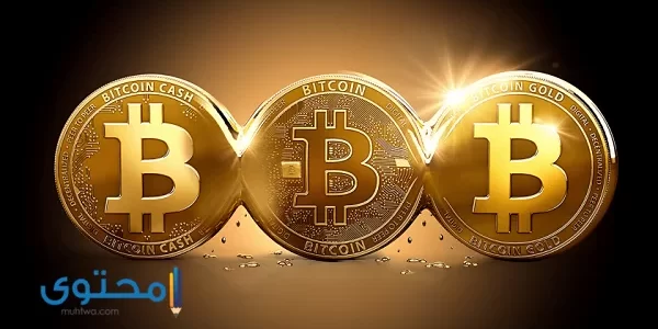 ما هو البيتكوين وكيفية الربح من خلال عملة (Bitcoin)